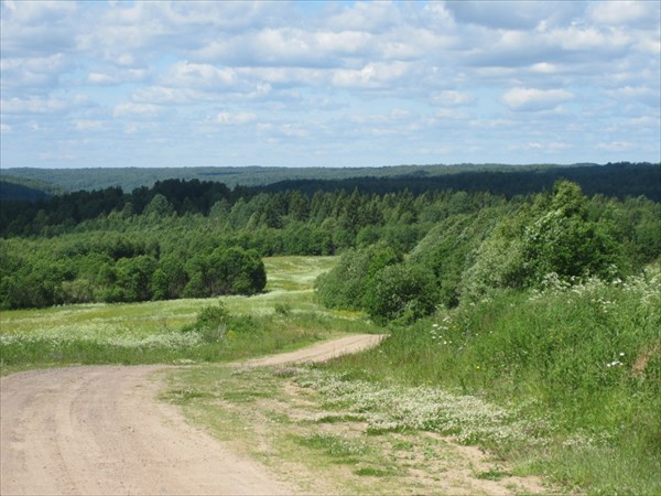 на фото: Природный парк "Вепсский лес"