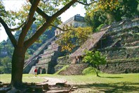 Археологический центр Паленке-Древний город майя Паленке