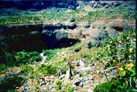 Долина пещеры Giniba Cave