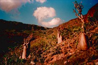 Долина пещеры Giniba Cave