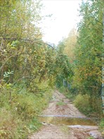 Дорога вдоль Урала