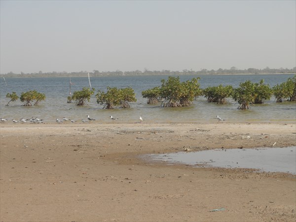DSC09795