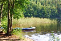 075_IMG_8756