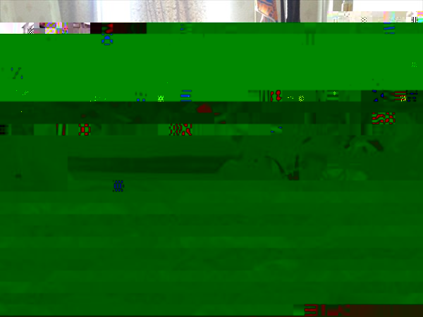 20170713_065007