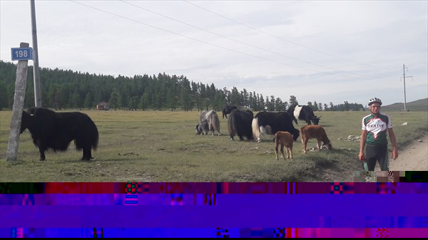 20170715_105247