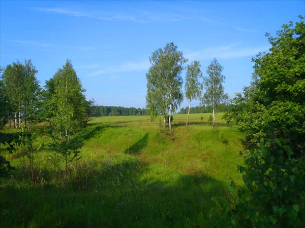 Фото Брянского Края