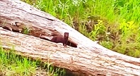 IMG_20210603_152243
