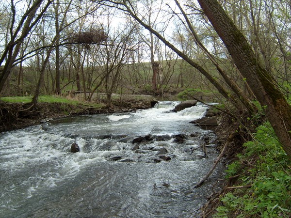 Степная прогулка