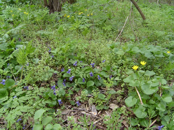 Степная прогулка