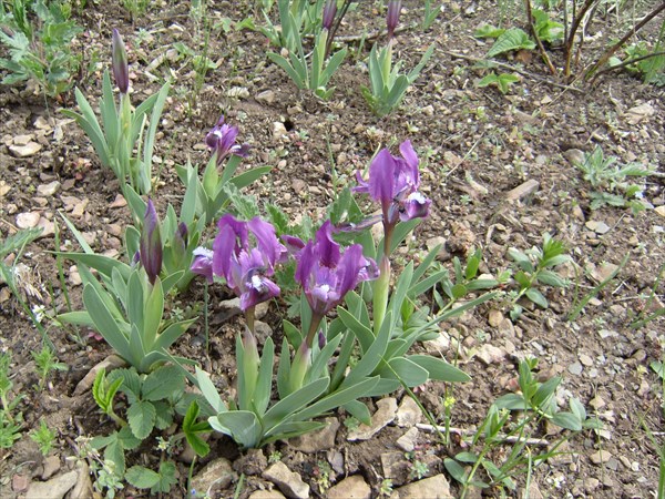 Степная прогулка