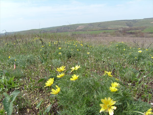 Степная прогулка