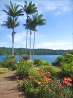 Barrine Crater Lake