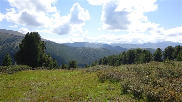 Эх погодка... эх видосики...