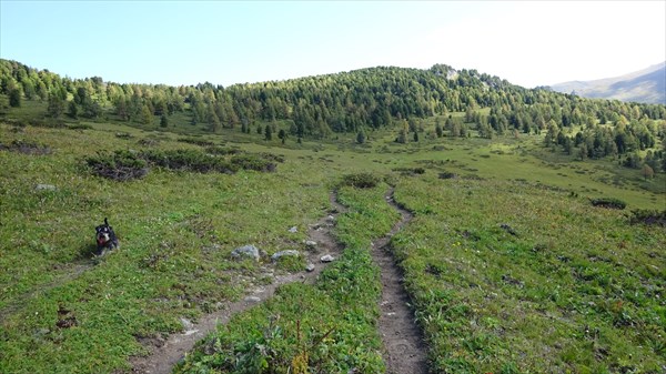 Хозяин, возьми на ручки... А?
