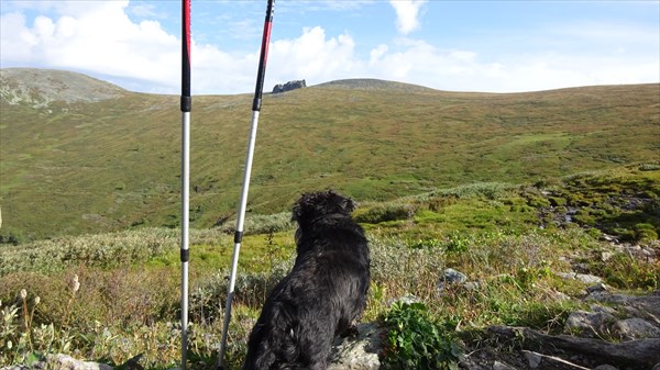 Хозяин... там внизу вода!