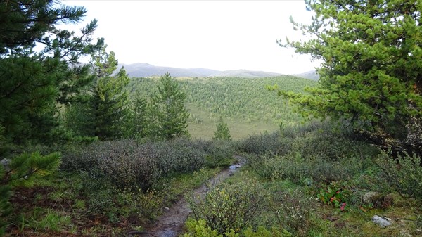 После грозы.