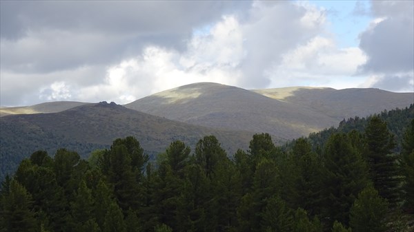 Дело к дождю