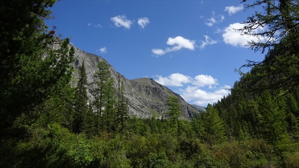 Долина реки Теккелю... вид из чепыжей.
