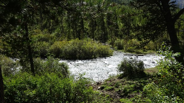 Брод... для коников.