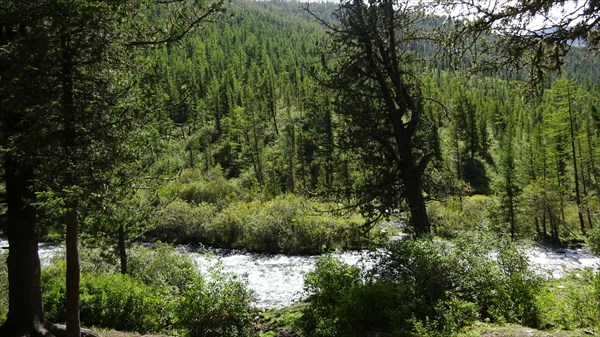 Река Теккелю