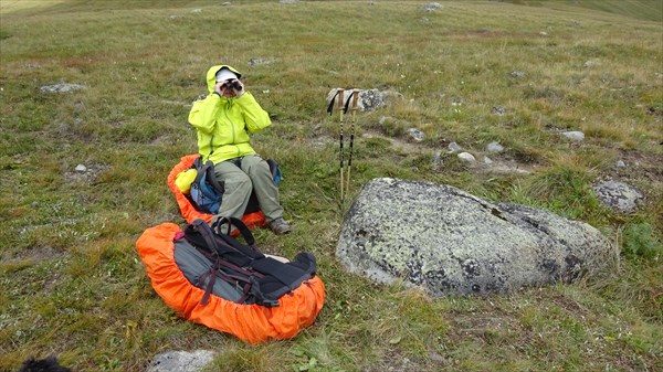 Разведка доложила...
