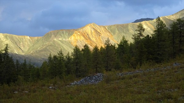 Золото Алтая