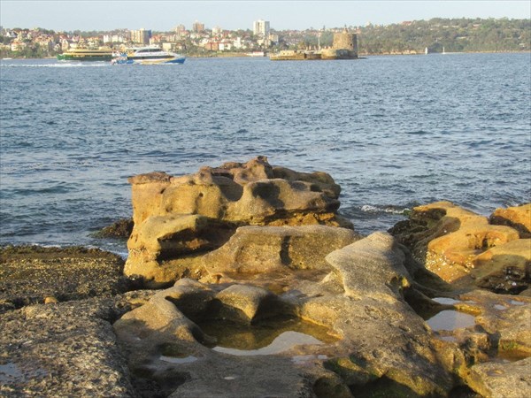 Mrs.Macquarie