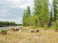 Стоянка при впадении р.Харута