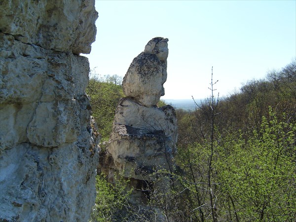 Баба. Балка Скелеватая.