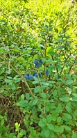 IMG_20210801_164319