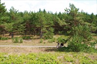 119_IMG_8528