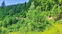 IMG_20210712_105748