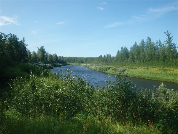 P8030951
