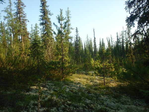 P8030962
