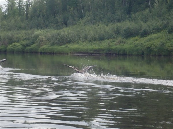 P8040984