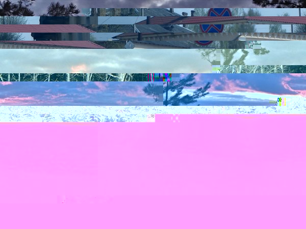DSC05998
