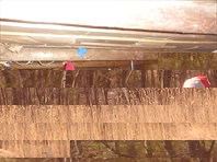 DSC05993