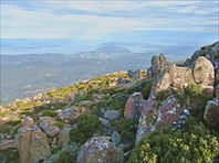 IMG_0901