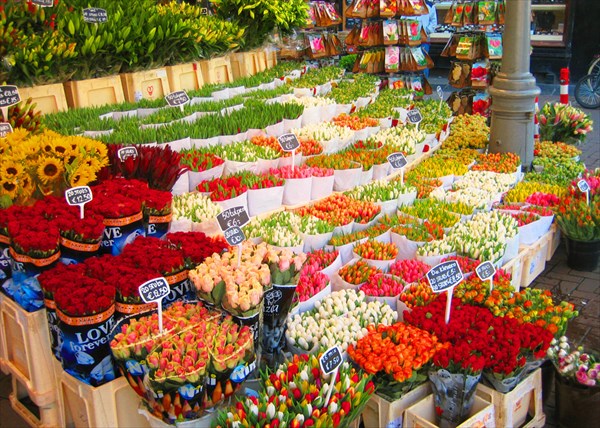 Amsterdam-Flower-Market-Bloemenmarkt