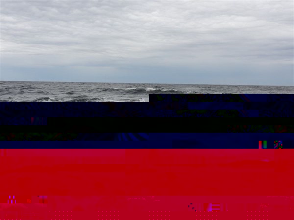 Море бушует.