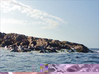 DSC04776