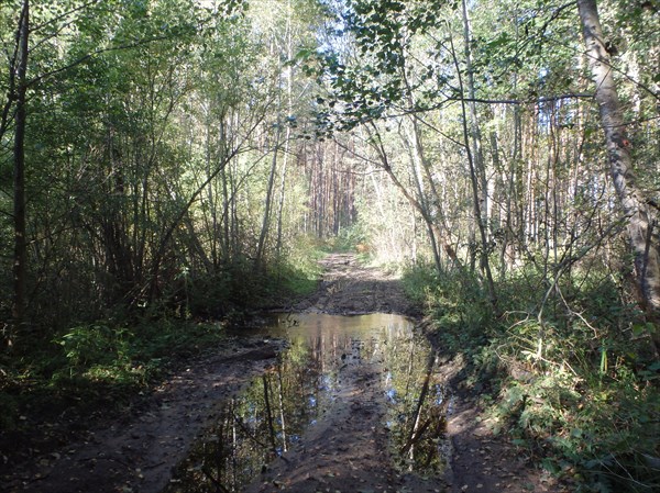 P9230398