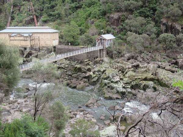 Alexandra Suspension Bridge