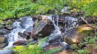 IMG_20210725_085258