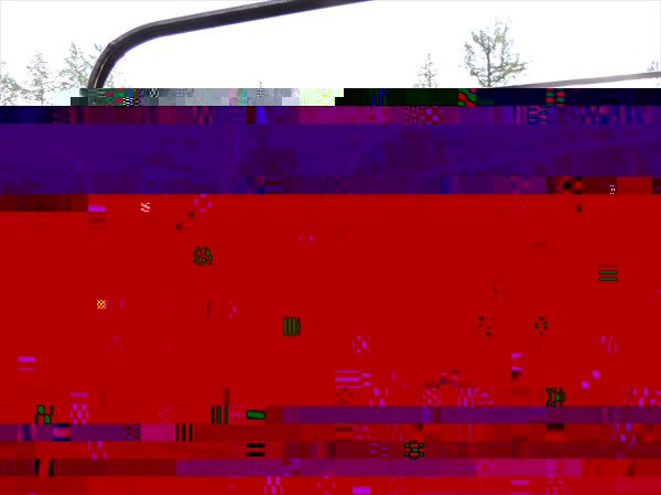 DSCN4449