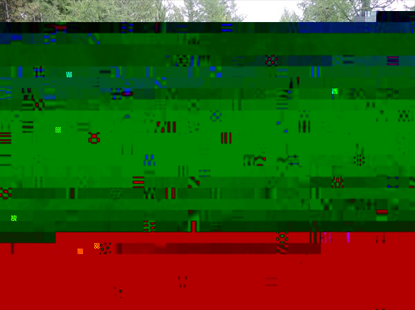 DSCN4477