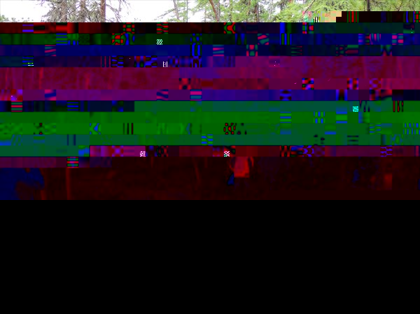 DSCN4485