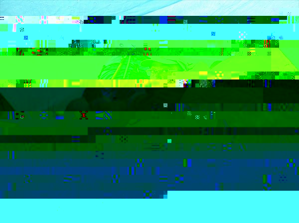 DSCN4769