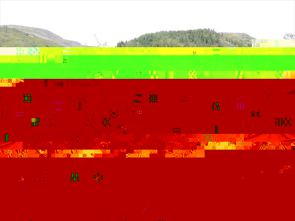 DSCN4775
