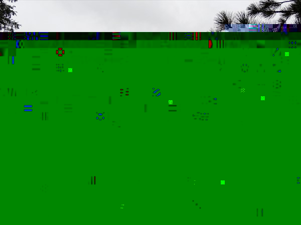 DSCN4904